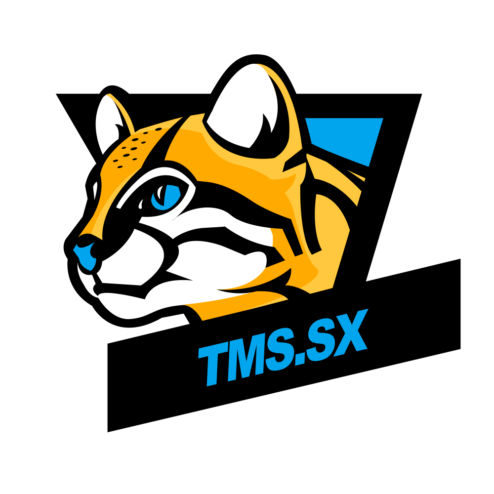 TMS.SX Logo
